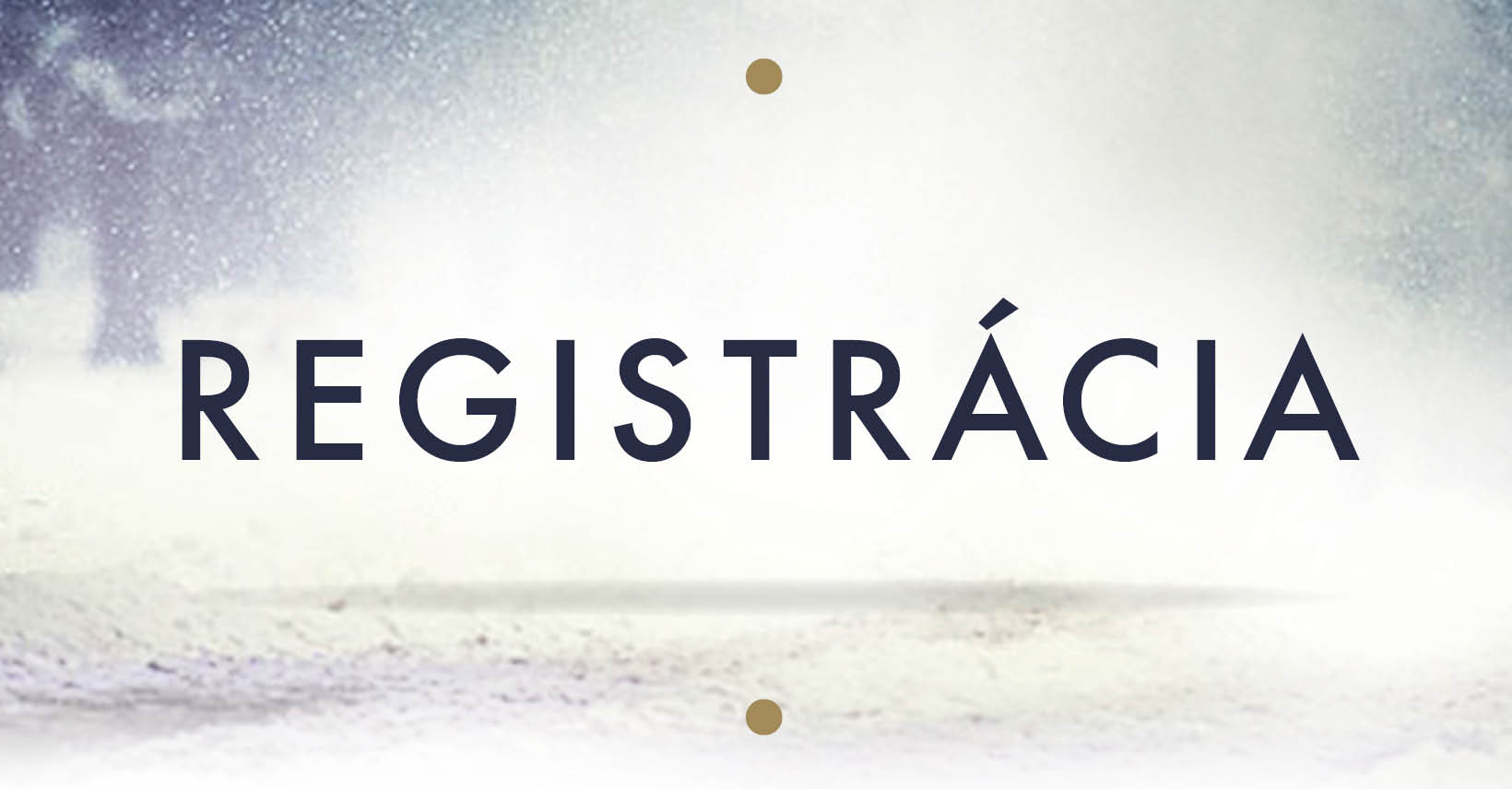 Zaregistruj sa na Bratislavký vianočný beh Sansport