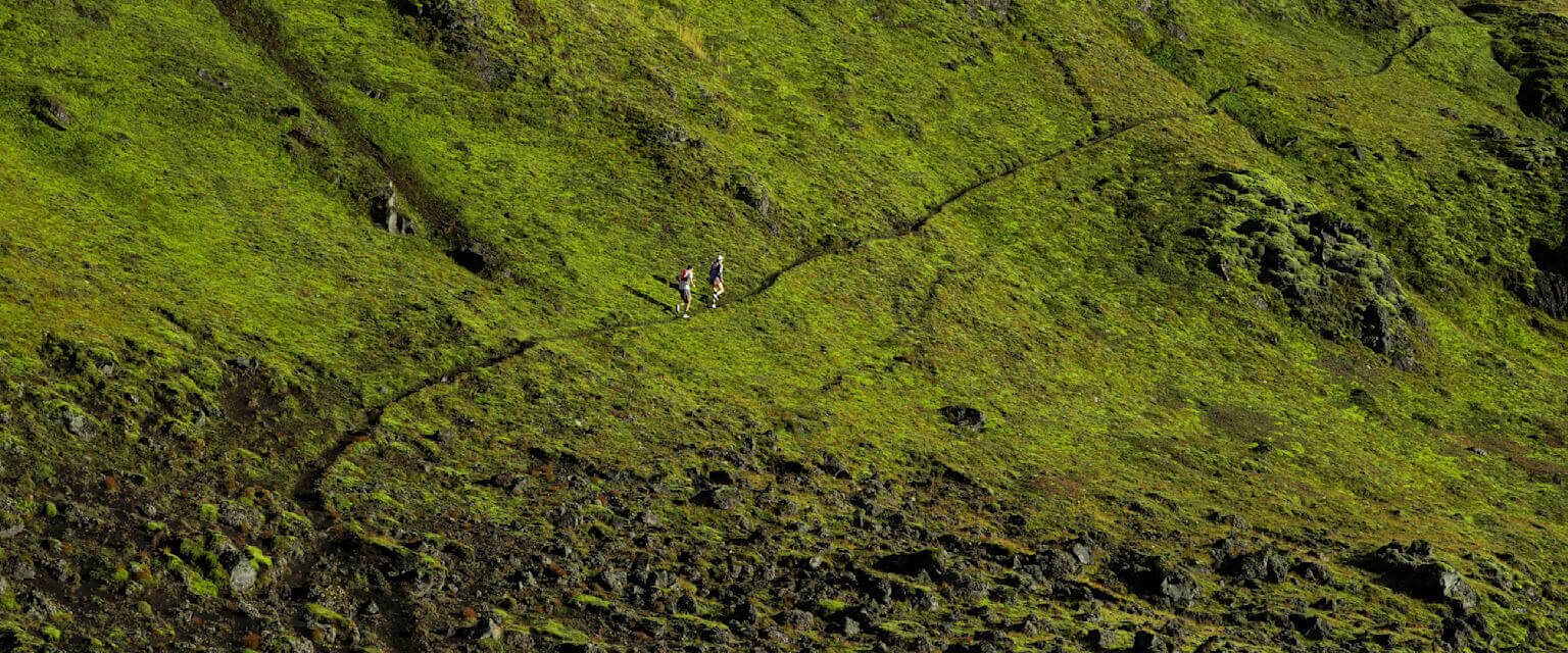 Ako často by som mal behať? Sansport BLOG 2025