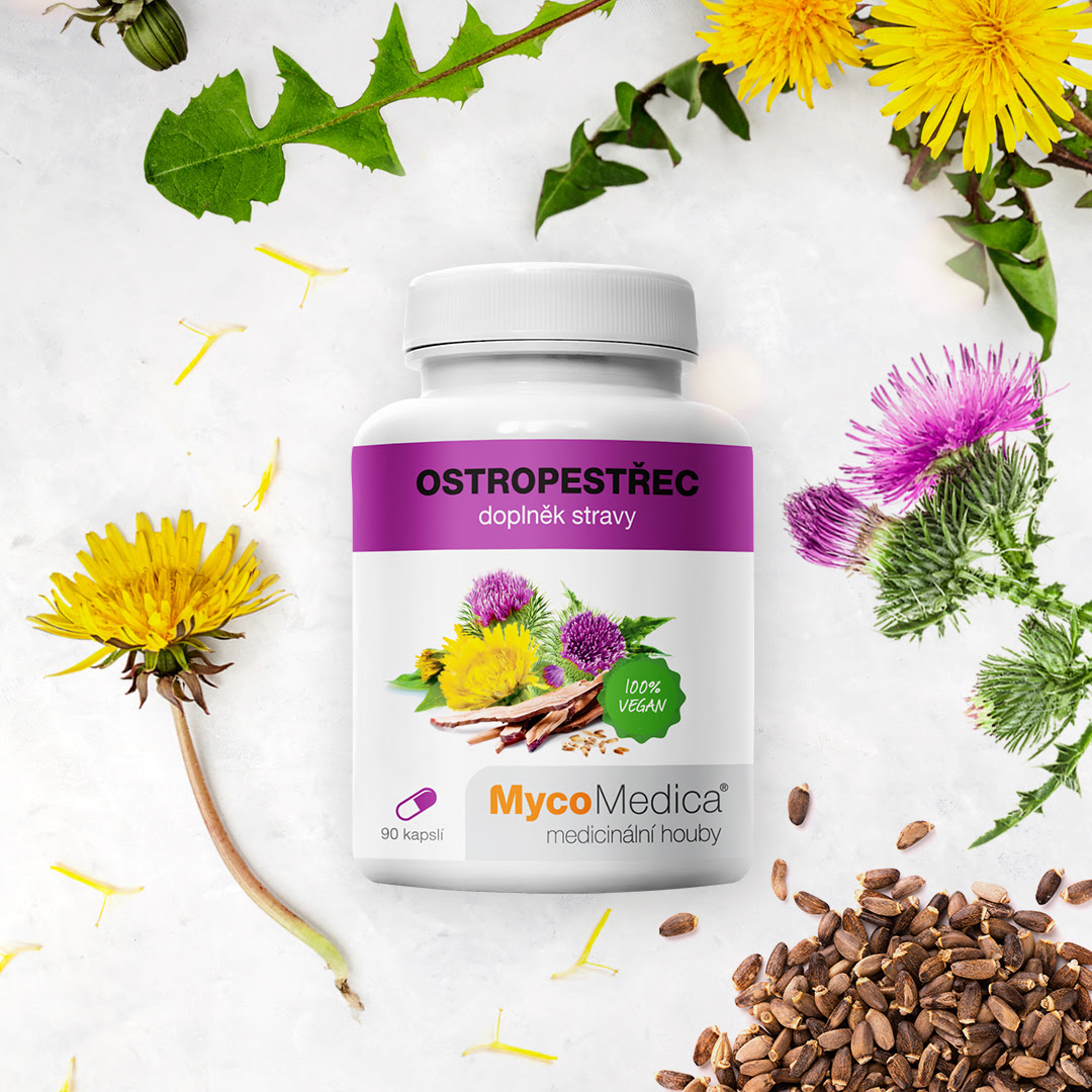 Ostropestrec mariánsky - Jarná očista organizmu