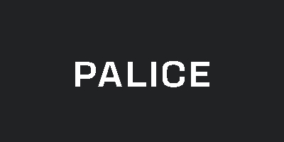 Palice na bežecké lyžovanie Salomon