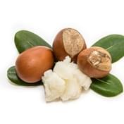 bambucké maslo cinska medicina prirodna kozmetika caremedica