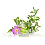 extrakt z cistu sedaveho tradicna cinska medicina prirodna kozmetika caremedica