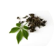 extrakt zo ženšenu tradicna cinska medicina prirodna kozmetika caremedica