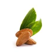 mandlovy olej tradicna cinska medicina prirodna kozmetika caremedica