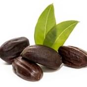 simondsia cinska medicina prirodna kozmetika caremedica