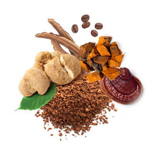 MycoCoffee Káva, ktorá dokáže viac. Instantná arabica s vitálnymi hubami.