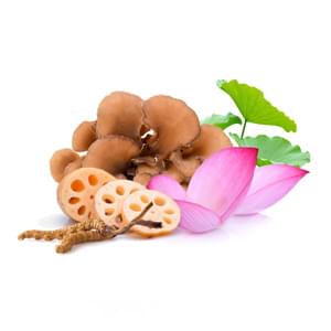 mycoslim mycomedica - tradicna cinska medicina - prirodny doplnok pre zdrave a rychle chudnutie