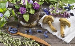 VITA BLOG - Kozmetika a vitálne huby