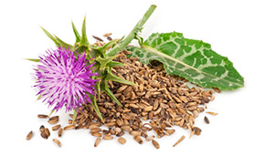 VITA BLOG - Ostropestrec mariánsky a jeho účinky na zdravie